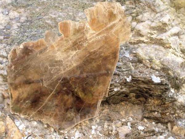 云母含鐵愈高時，顏色愈深，同時多色性和吸收性增強